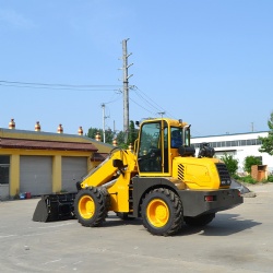 Telescopic Loader MC928T